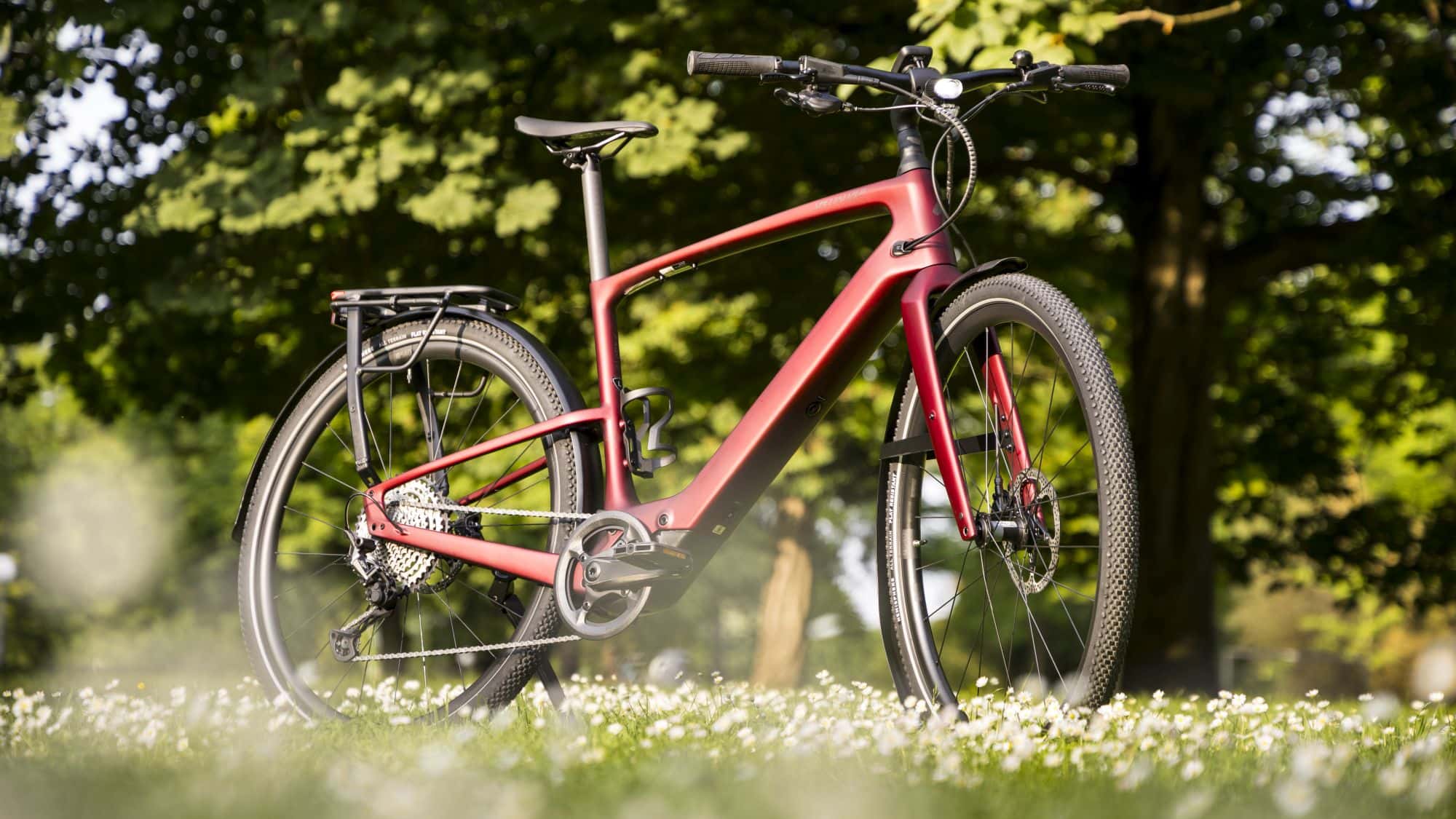 Luxus E Bike Vision Bild