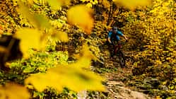 Ratgeber Herbst