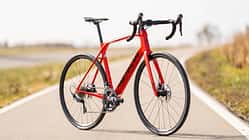 ROADBIKE Endurance-Renner Test 2021