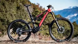MB SH 01/2022: Highend E-All-Mountains, Rotwild