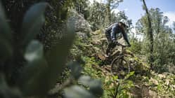 Canyon Torque:ON Modell 2023 Canyon Torque:ON Modell 2023