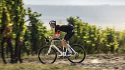 Das neue Focus Paralane Endurance-Rennrad 2024