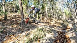 All-Mountain-Test: Merida