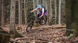 Orbea Rallon M20 Custom