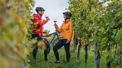 Fahrradfahren im Elsass