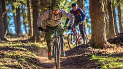 People enjoying mountain biking