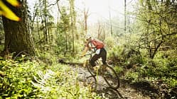 Rear view of woman riding mountain bike down forest trail on sunny afternoon