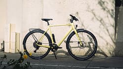 Rose Sneak Plus EQ Shift