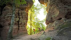 Zwei Mountainbiker fahren durch eine Felsformation im Wald bei Sonnenlicht.