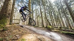 Mountainbiker mit Fullface-Helm auf einem Trail im Wald, springt über eine Bodenwelle. Aufnahme im Bikepark Beerfelden.