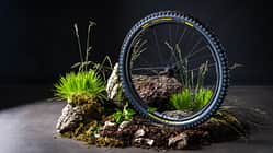 Pirelli Scorpion Blacksting, Emperor, RedClaw, Reifenserie schmuck