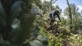 Canyon Torque:ON Modell 2023