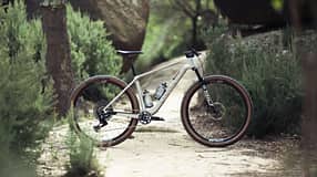 Canyon Exceed Hardtail
