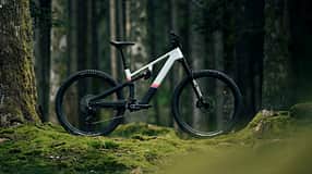 Rose File Plus Light-E-MTB