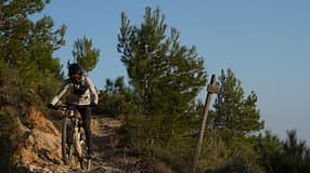 Die neue Fox 40 für die Saison 2026.