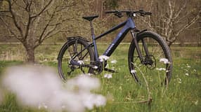 Canyon Pathlite:ONfly im Test!
