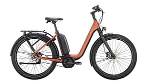 Victoria eUrban - ein E-Bike mit 170 kg zulässigem Gesamtgewicht. Victoria eUrban - ein E-Bike mit 170 kg zulässigem Gesamtgewicht.