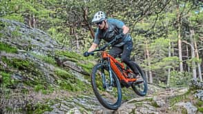 Light-E-MTBs Light-E-MTBs