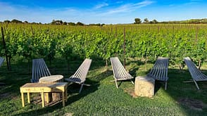 Weingut,Emilia Romagna Weingut,Emilia Romagna