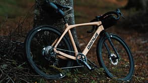 Ornus Wooden Gravelbike,am Baum lehnend Ornus Wooden Gravelbike,am Baum lehnend