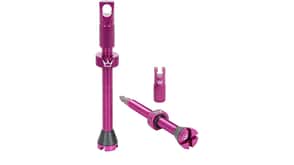 Paty's Chris King Tubeless Valve MK2