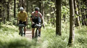 Gravelbikes,Wald,Weg,Action Gravelbikes,Wald,Weg,Action