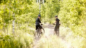 Pollenflug und Radfahrer Pollenflug und Radfahrer