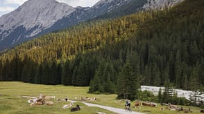 Tolle Fotos unterwegs machen!