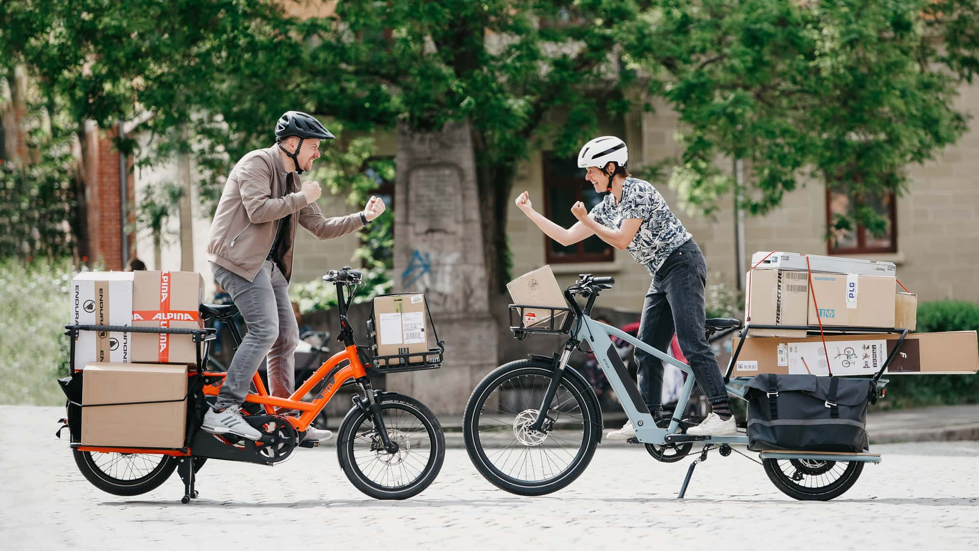 fahrradtasche e-bike Pioneer Lila: Fahrradtasche Gepcktrger E-Bike