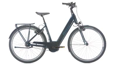 eb-012019-test-stadt-e-bike-diamant-onyx-plus-10-BHF-eb-10-001 (jpg)