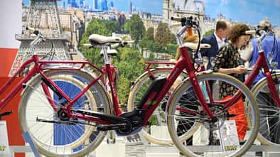 UB Pegasus Macaron 2017 (1)