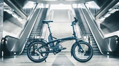 UB-Tern-2017-Lineup (20)131141.jpg