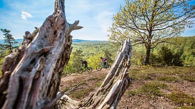 mb-1117-eisenach-04-dennis-stratmann (jpg)