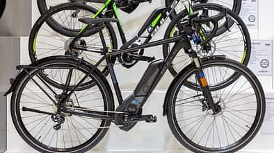 UB-Bulls-Dail-E Grinder-01.jpg