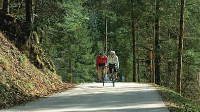 RB 0608 Touren Schwarzwald - Dichter Baumbestand