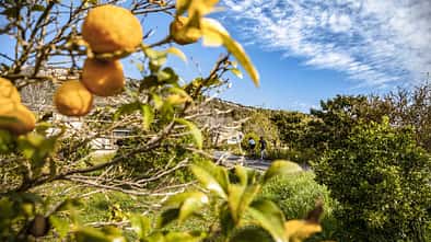 RB 0219 Top Spots Mallorca Tour 2 Sant Salvador Teaser