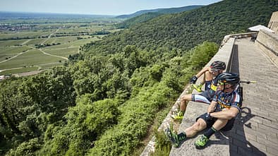 MB 0118 Pfaelzerwald Schloesser-Runde