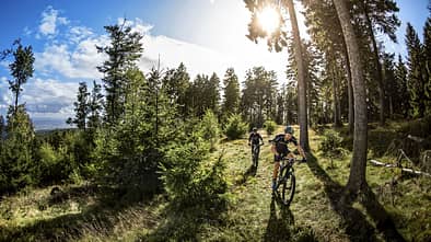 MB 1117 Sampler Biken in Deutschland Taunus Feldberg