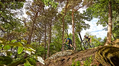 mb-1017-biken-in-deutschland-pfaelzerwald-christian-penning (jpg)