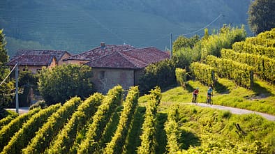 RB 0615 Piemont Tour 3 Langhe Region