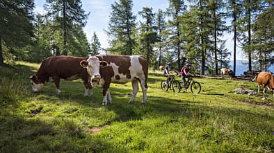 MB 0218 Lungau Teaserbild