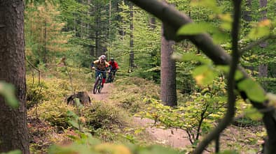 Flowtrail Kreuzberg