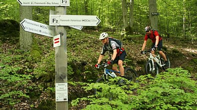MB 0514 Spessart Teaserbild