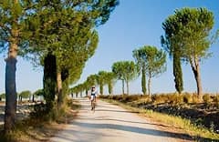 RDB_0209_hm_toskana2_004 (jpg) teaser