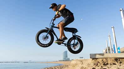 UB Ruff Cycles Lil'Buddy 1