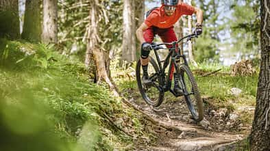 Specialized Stumpjumper