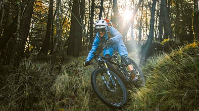 Mondraker