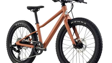 BMC-Blast