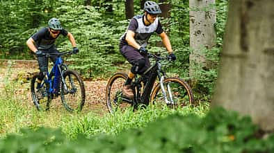 Versender E-Bikes 2020