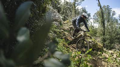 Canyon Torque:ON Modell 2023